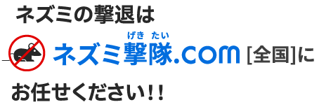 ネズミの駆除はお任せください