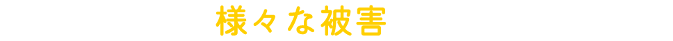 ネズミによる様々な被害にご注意ください