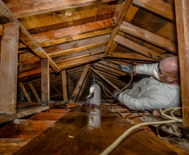 建築構造の知識があり適格に駆除できる